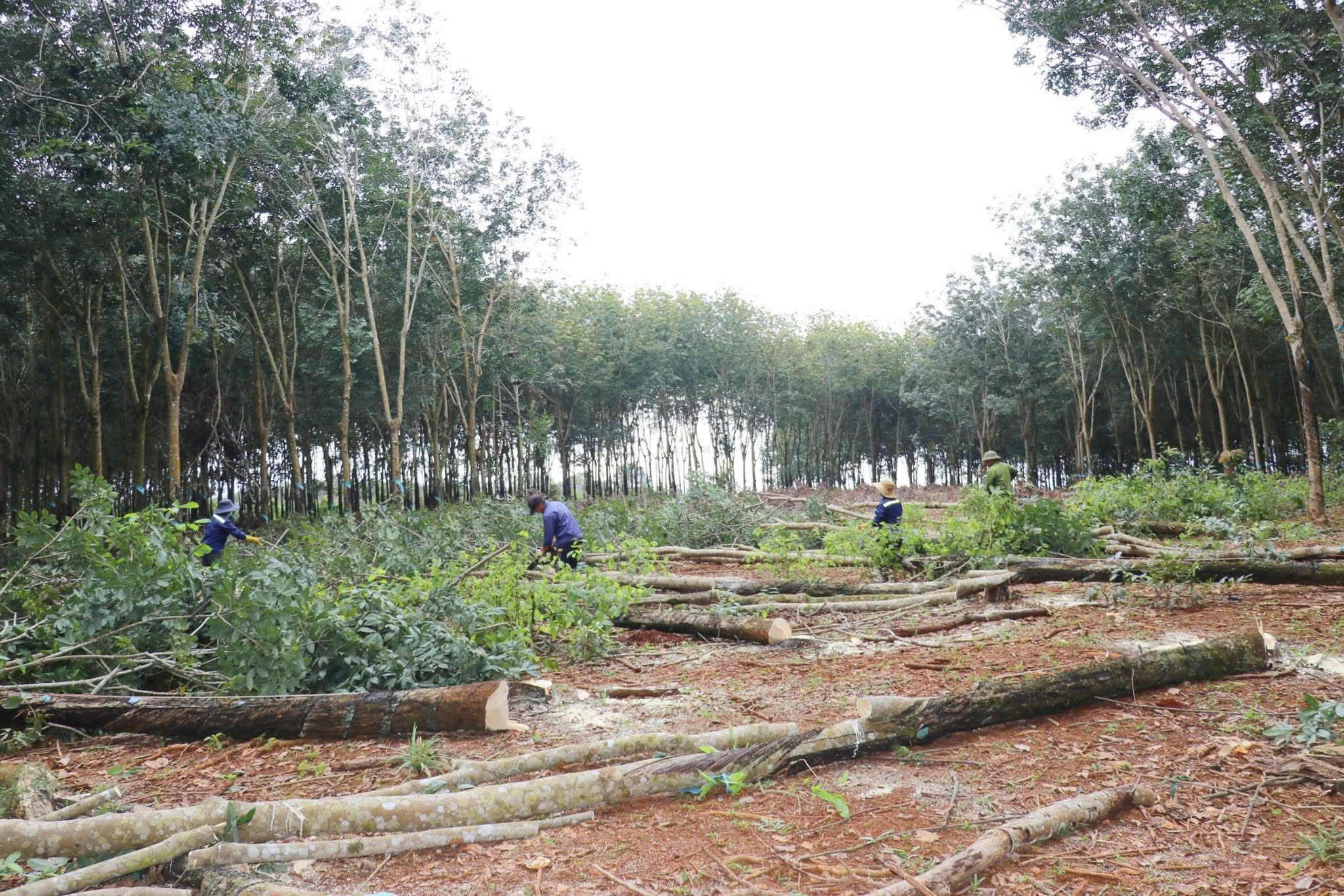 z7198484020527 94f5ad75d5b814e117cc1df9911c9bc8